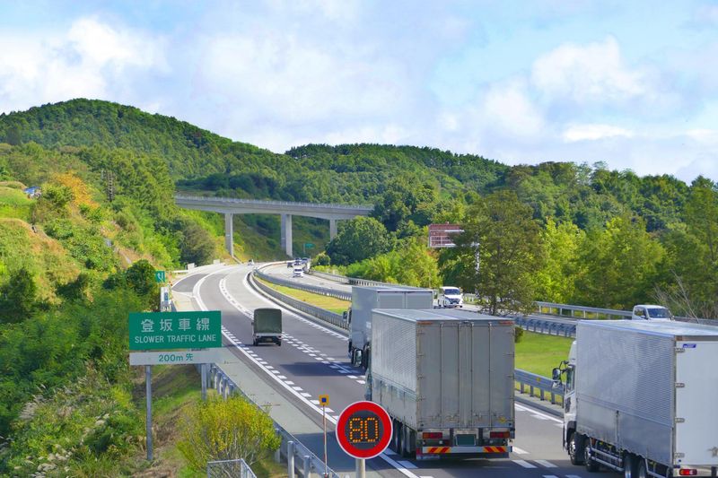 マルアイシステム有限会社の求人・転職情報