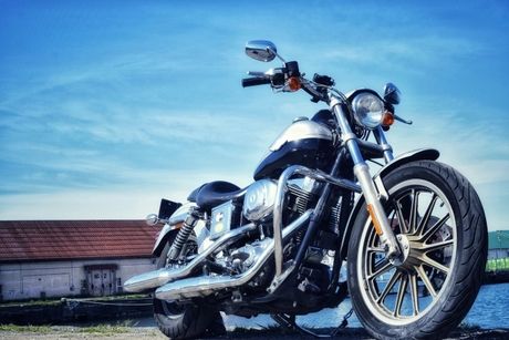 株式会社エイビスのアルバイト・バイト求人情報-31