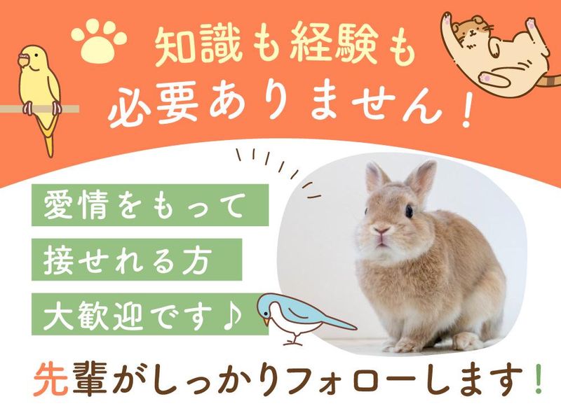 株式会社ラビータ　ラビータフジグラン三原店のアルバイト・バイト求人情報-02