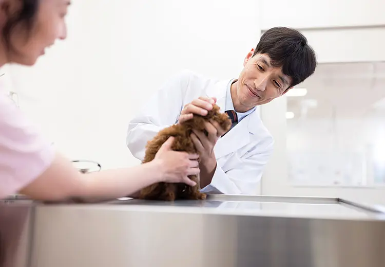 株式会社アグメディカルの求人・転職情報