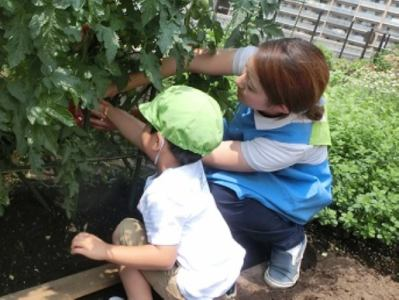 クレアナーサリー足立さくら園のアルバイト・バイト求人情報-04