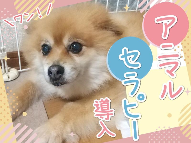 グループホームギフトユアライフ柿沼のアルバイト・バイト求人情報-02