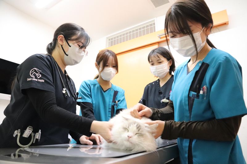 有限会社グラースの求人・転職情報