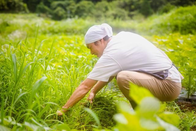 株式会社グランパークせとうち農園の求人・転職情報