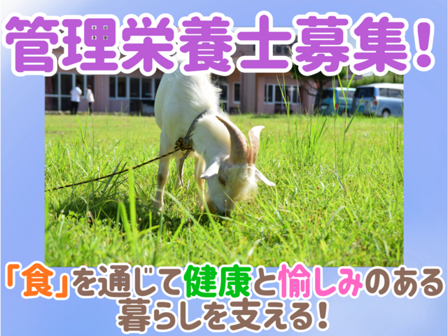 社会福祉法人海邦福祉会の求人・転職情報