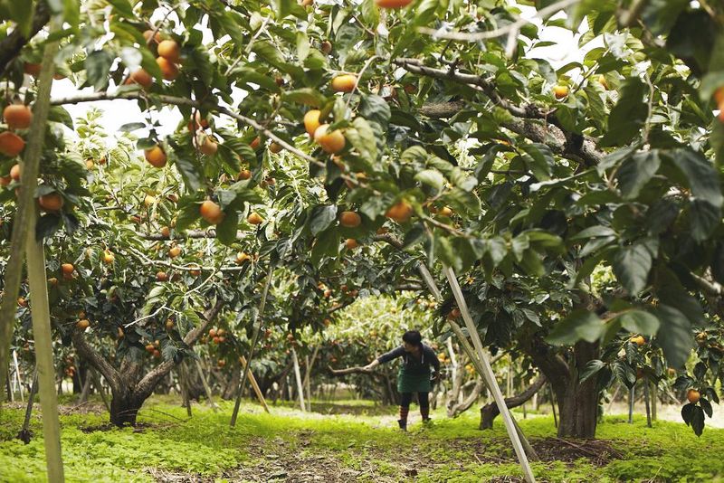 堀内果実園 東京スカイツリーソラマチ店のアルバイト・バイト求人情報-04