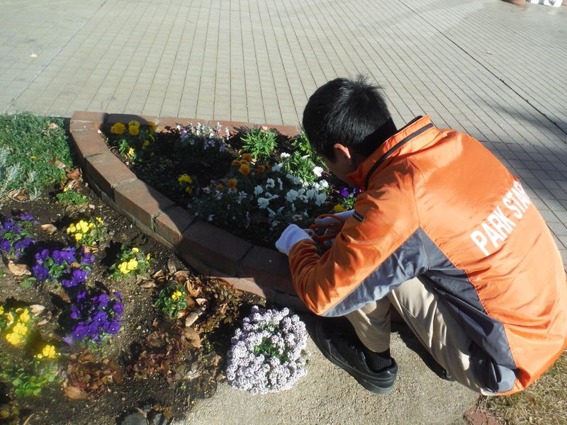 横浜緑地株式会社(岡村公園)の求人情報