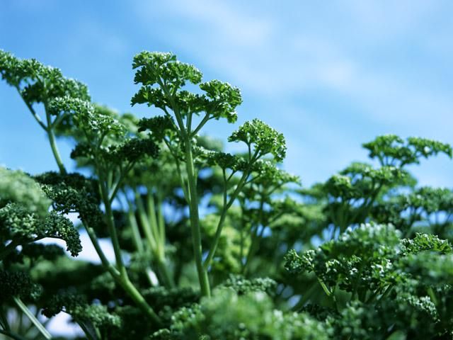 港区立芝公園管理事務所(株式会社日比谷アメニス)のアルバイト・バイト求人情報-05