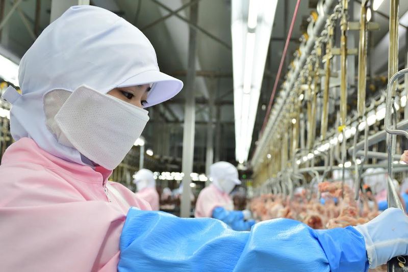 株式会社ＰＪ二戸フーズの求人・転職情報