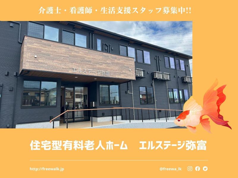 株式会社フリーウォークの求人・転職情報