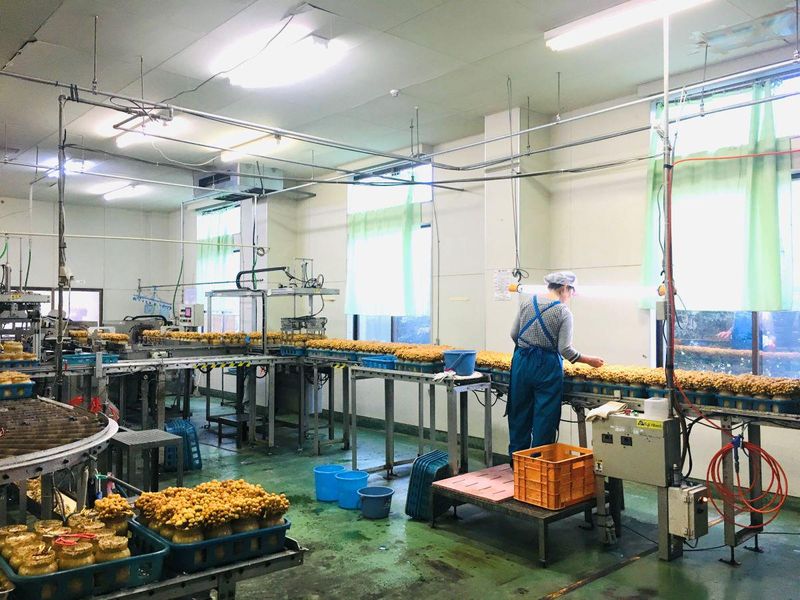 有限会社きのこの里吉井