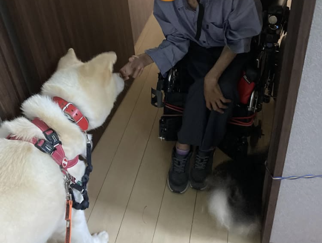 求人画像