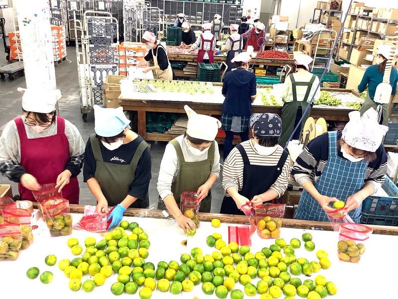 株式会社丸誠本田誠一商店