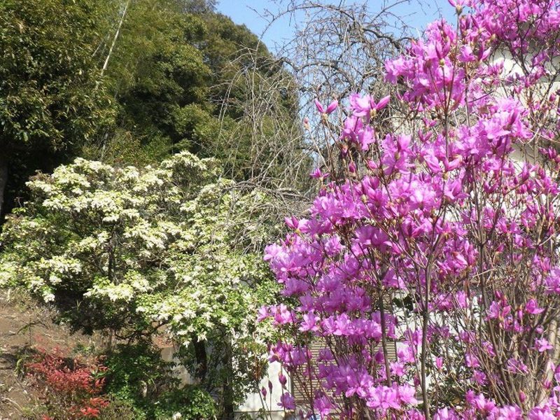 株式会社笹山植木のアルバイト・バイト求人情報-04