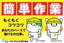 ヒューマンブリッジ株式会社