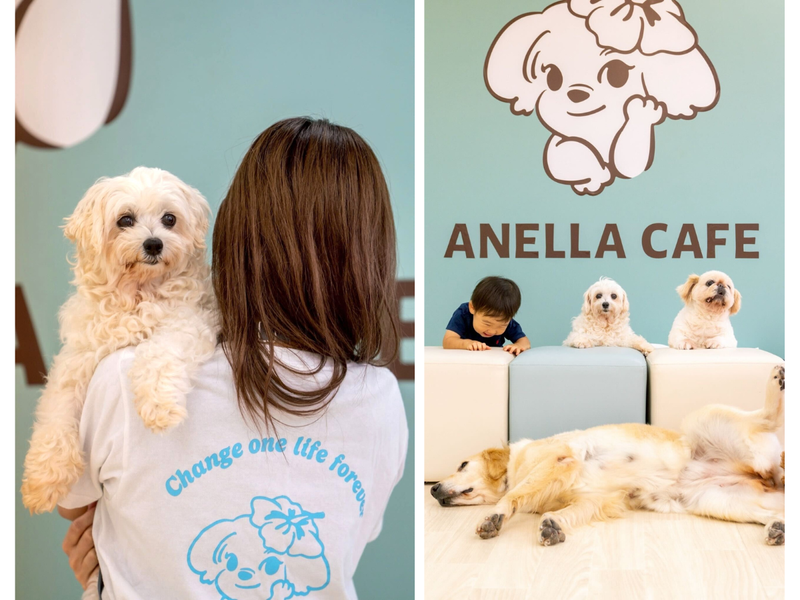 Ａネクストワークス株式会社の求人・転職情報