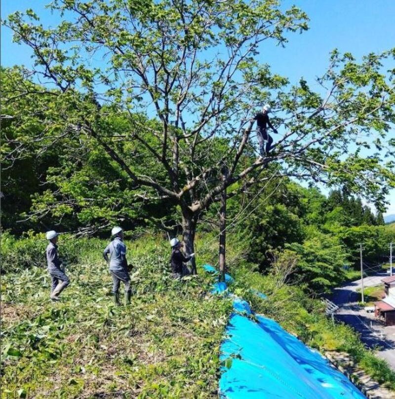 株式会社大平組のアルバイト・バイト求人情報-03