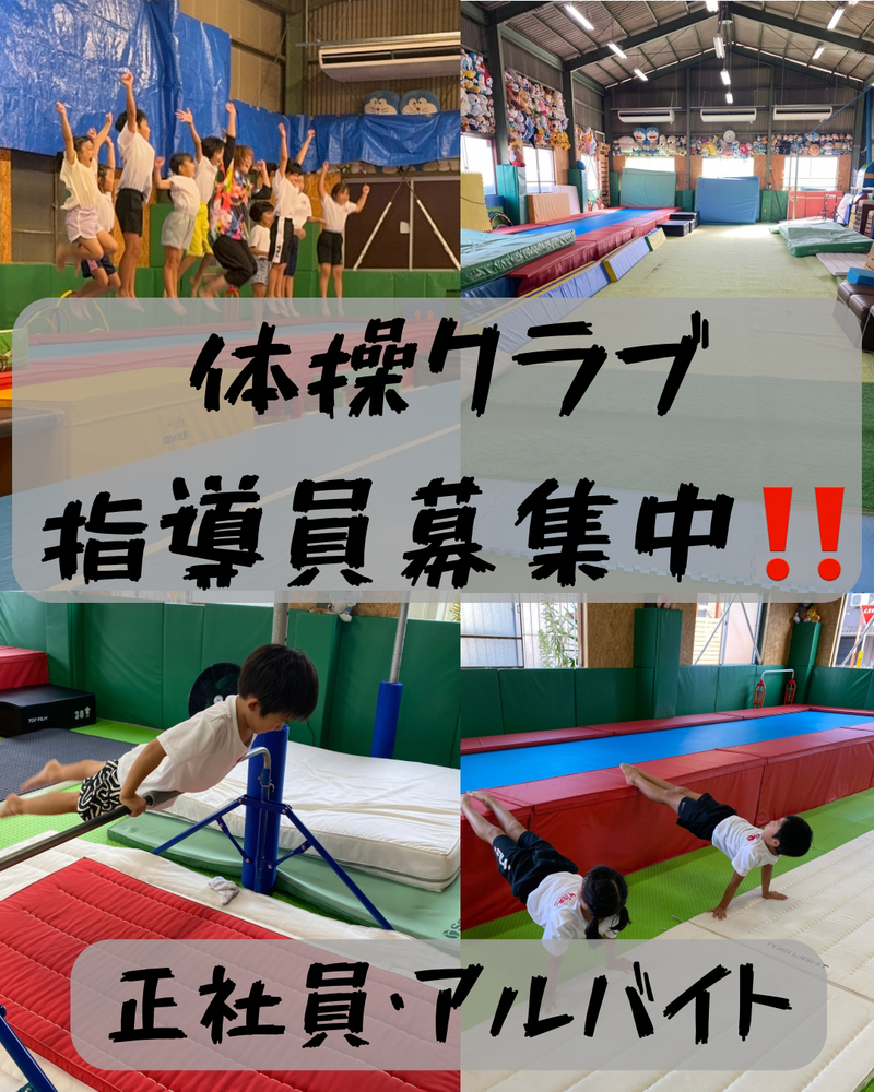 アイビス体操クラブの求人・転職情報