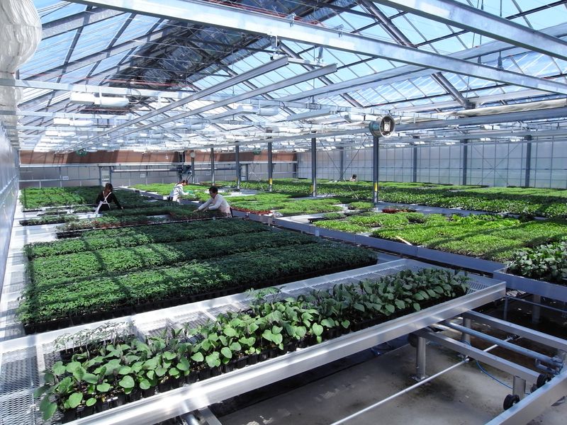 揖斐川工業株式会社 神戸ナーサリーのアルバイト・バイト求人情報-03