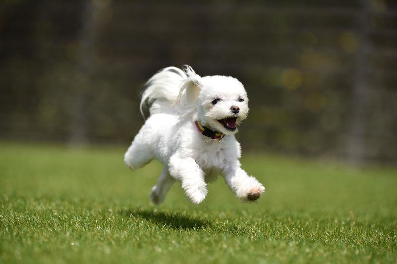 株式会社フェローズ　札幌支店のアルバイト・バイト求人情報