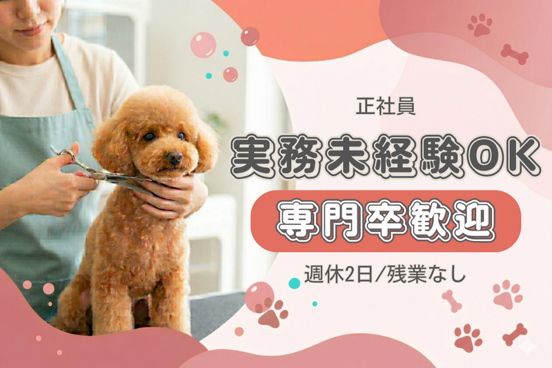 株式会社ドリームマートの求人・転職情報