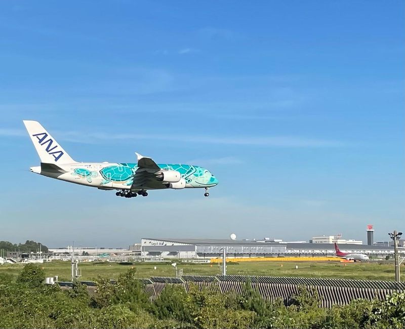 株式会社LifeBizのアルバイト・バイト求人情報-18