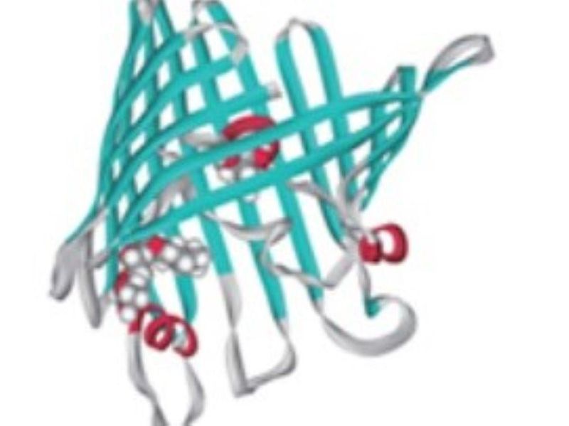 サイエンス・テクノロジー・システムズ株式会社