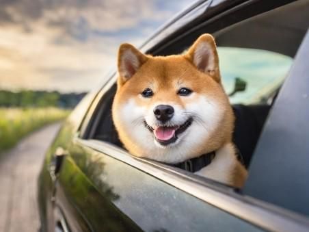 株式会社ドリームアシスト滋賀のアルバイト・バイト求人情報-03