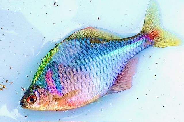 株式会社東和コーポレーション　秋葉原営業所【海老名】のアルバイト・バイト求人情報-24