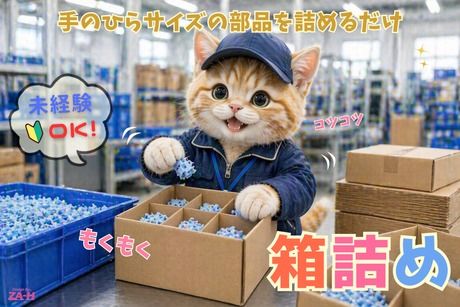 株式会社ヒューマンアイズの求人・転職情報