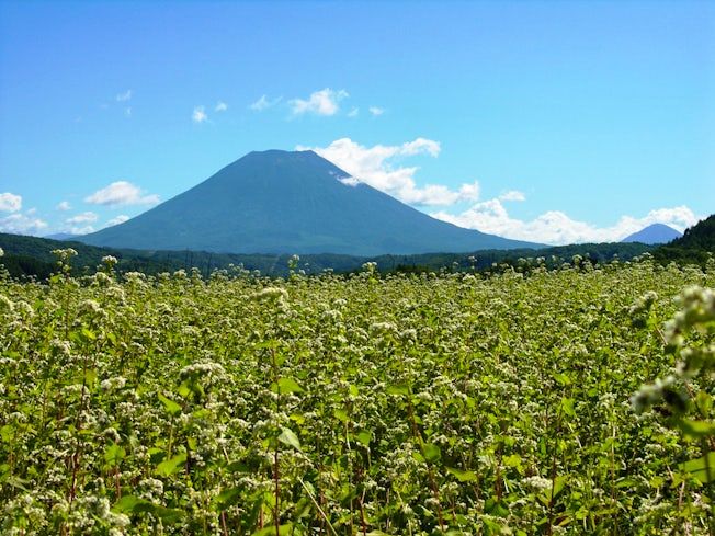 有限会社ファームトピアのアルバイト・バイト求人情報-03