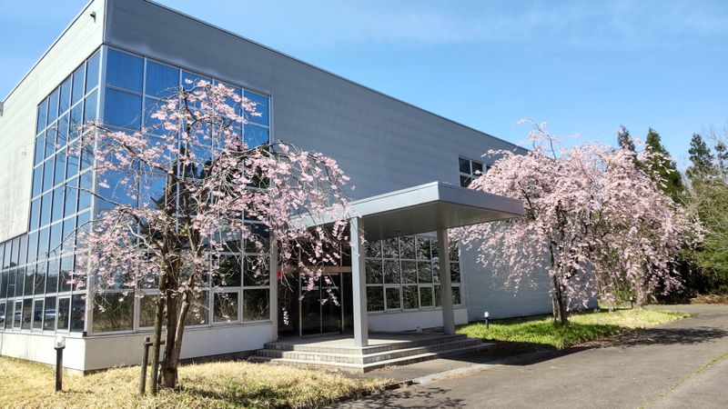 ヒーハイスト株式会社