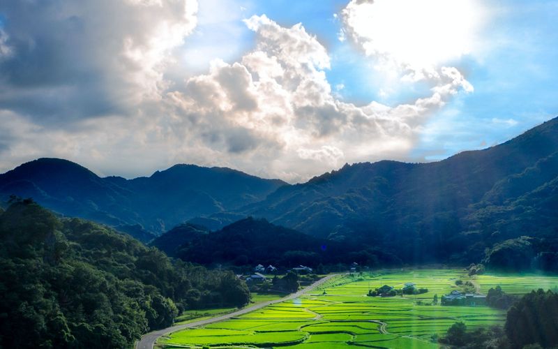 医療法人 璃心会の求人・転職情報