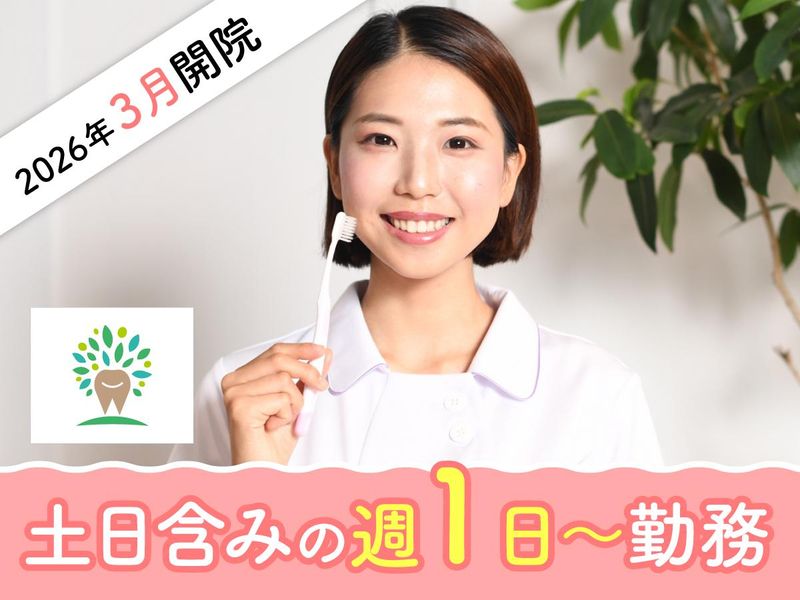たつき歯科医院　浦和美園の派遣求人情報