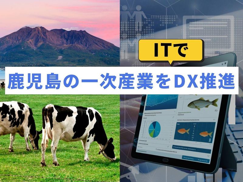 株式会社南日本情報処理センター