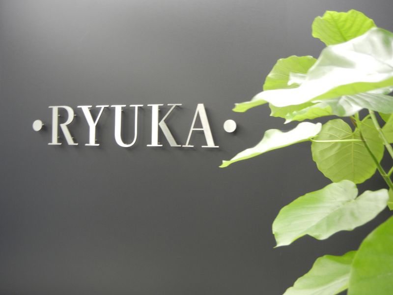 弁理士法人RYUKA国際特許事務所の求人・転職情報