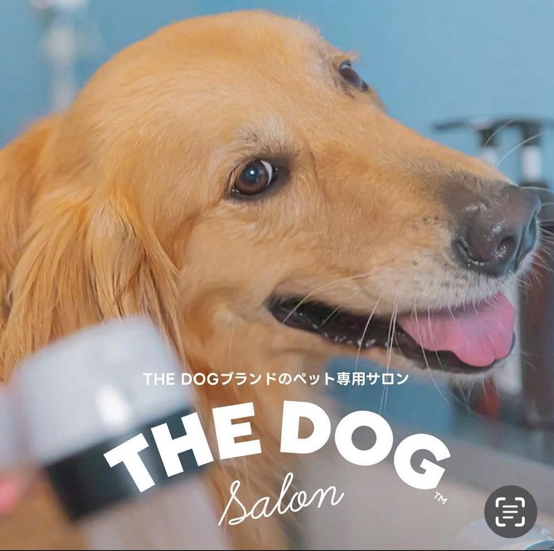 THE DOG Salon 世田谷のアルバイト・バイト求人情報-02