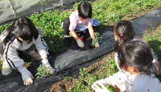 京都市納所城之内児童館のアルバイト・バイト求人情報-04