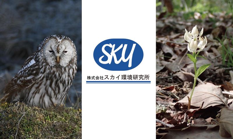 株式会社スカイ環境研究所
