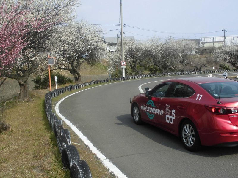 仙台ドライバーサービス株式会社　仙台中央自動車学校の求人情報