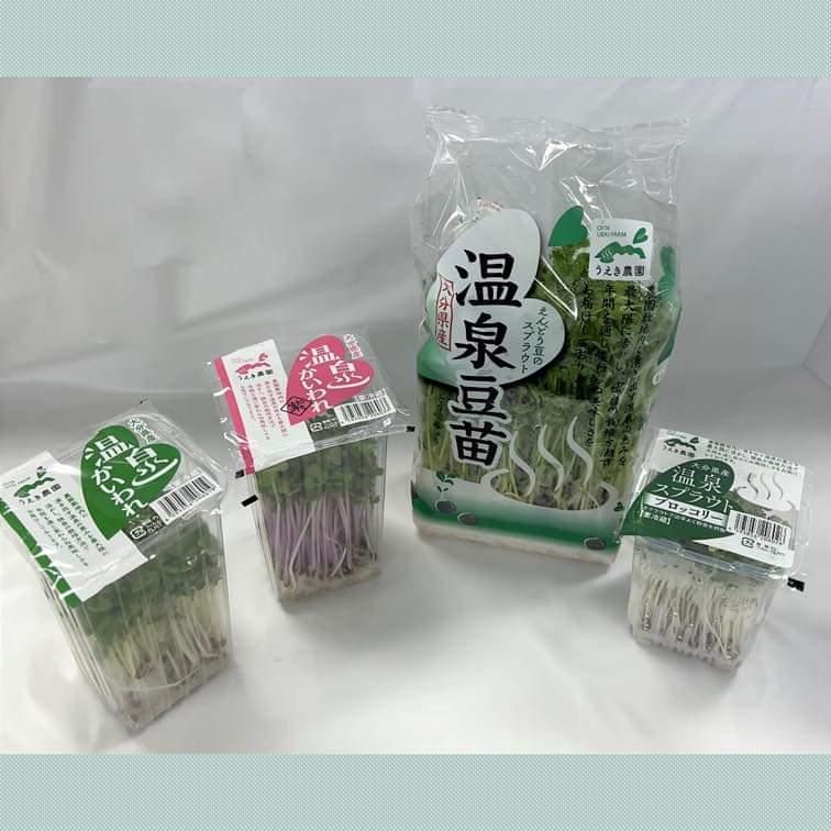 有限会社植木農園のアルバイト・バイト求人情報-05