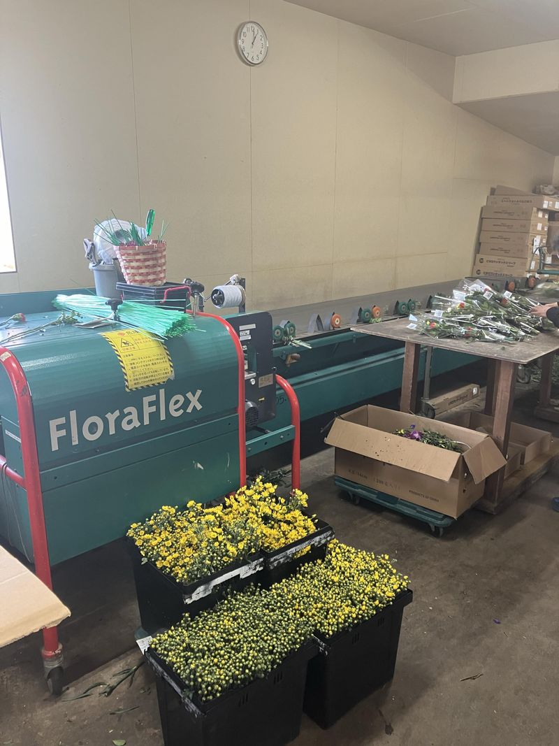 株式会社甲華園のアルバイト・バイト求人情報-02