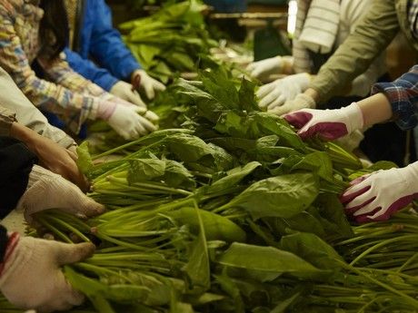 わくわく広場　つくば物流センター(947)