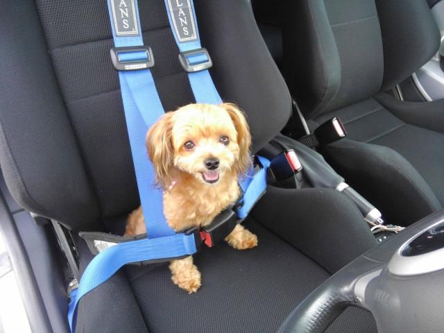 株式会社ドリームアシスト岐阜