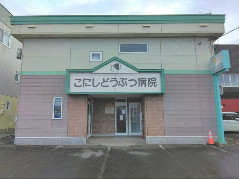 こにしどうぶつ病院の派遣求人情報