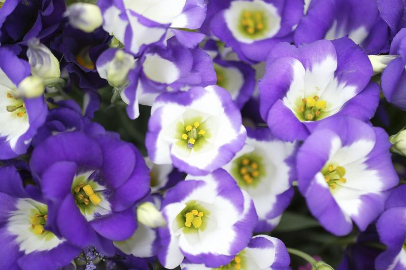 鹿倉商店 第二斎場のアルバイト・バイト求人情報-02