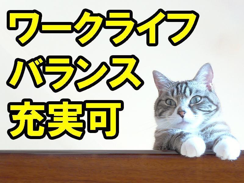 株式会社プロスキャリアの求人・転職情報