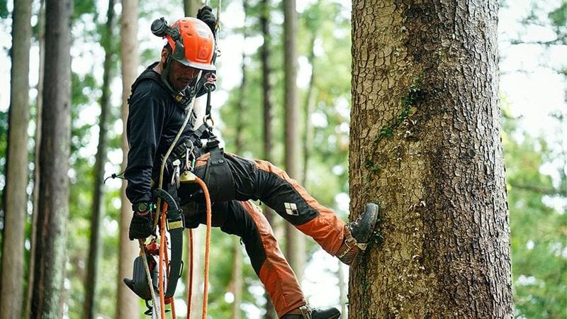 株式会社山空林業の求人・転職情報
