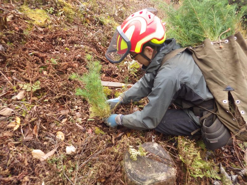 上野村森林組合