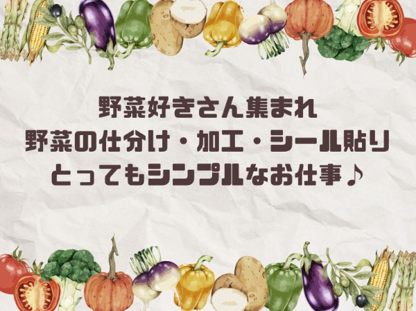 北海道ハピネス株式会社のアルバイト・バイト求人情報-33